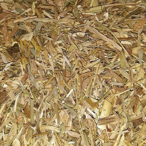 Foin