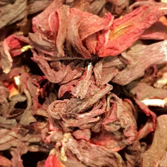 Hibiscus