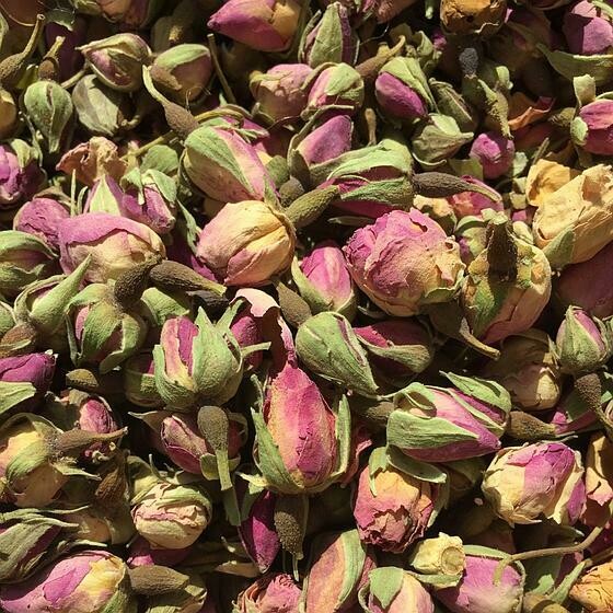 Rose bouton