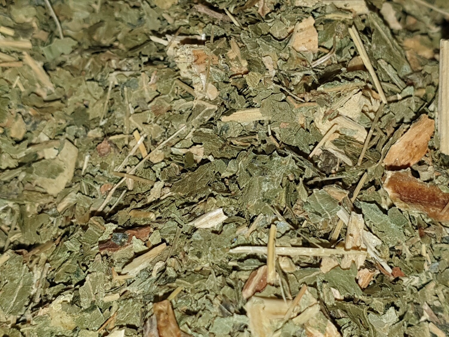 Cochléaire