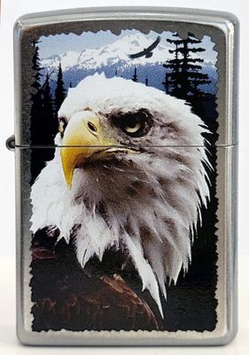 Zippo - Aquila