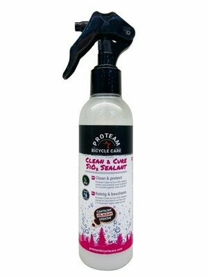 Clean and Cure Sealant 200ml