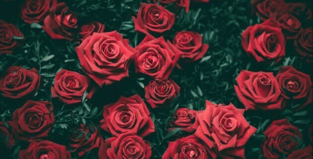 Flower Arranging