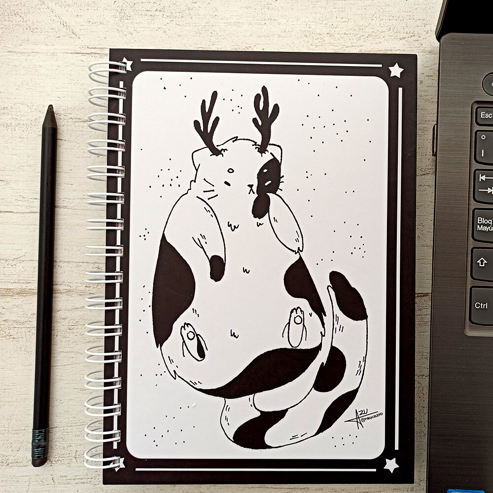 CUADERNOS | Diseños originales Aojo