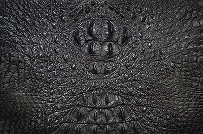 Embossed Leather