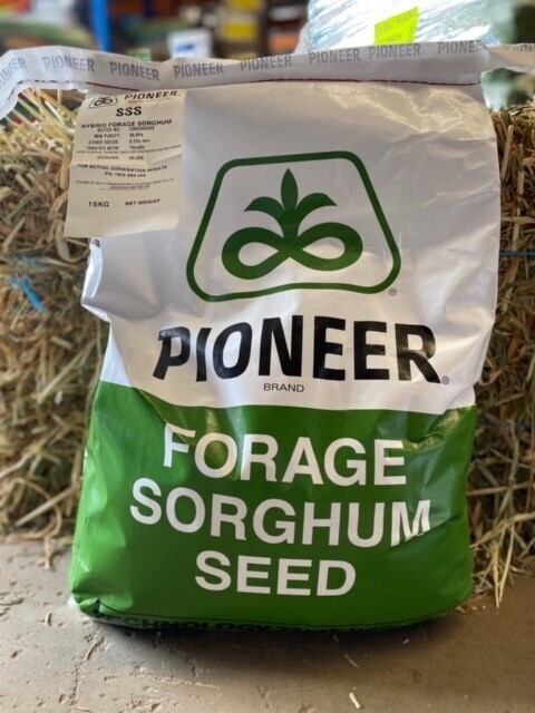 Pioneer Forage Sorghum