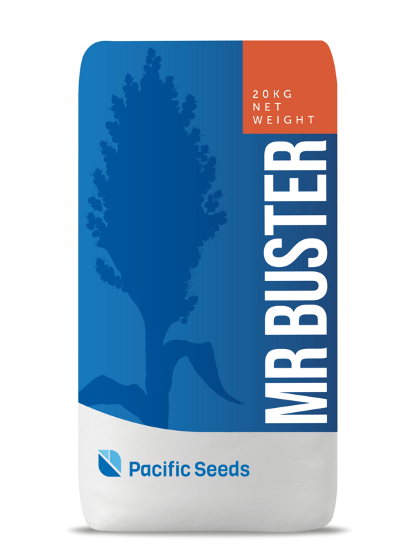 Pacific Grain Sorghum