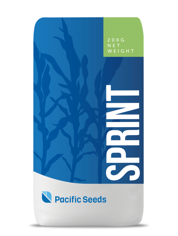 Pacific Forage Sorghum