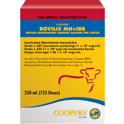 Intervet Bovilis MH-IBR