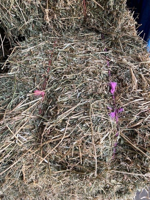 Lucerne Hay Prime