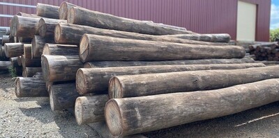 Ironbark Wood Strainer Post