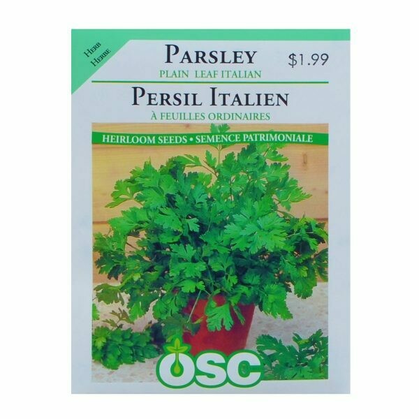 Parsley Plain Leaf Italian Seed Package Parsley Plain Leaf Italian Seed Package