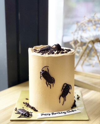 Halloween / Prank Cake - Cockroach