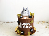 Totoro Cake 1