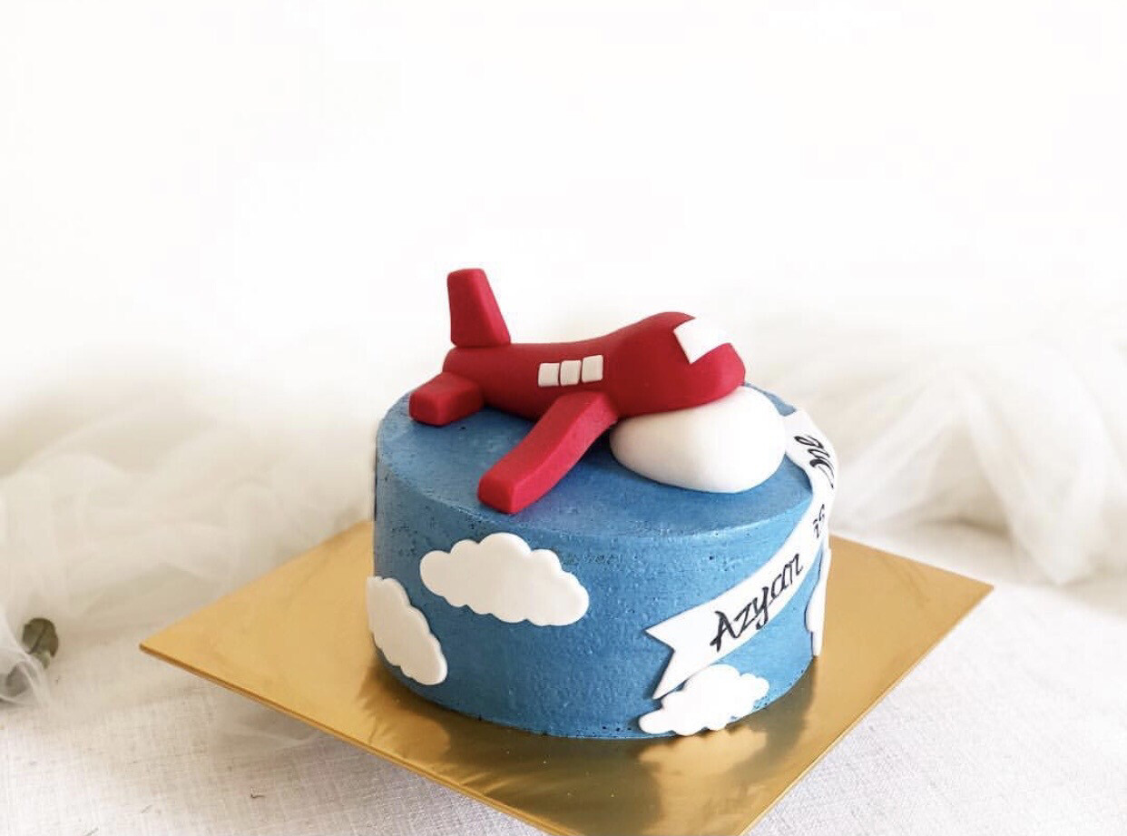 I’m A Plane Pilot Cake 4