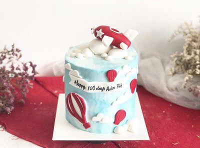 I’m A Plane Pilot Cake 6