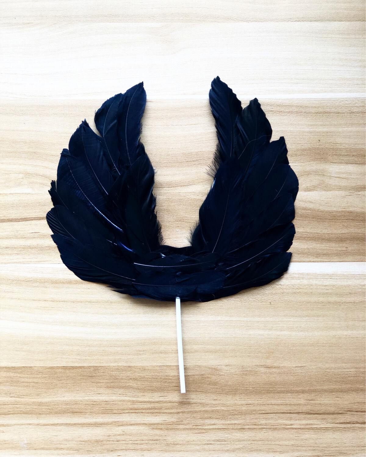 Feather Wings Black 