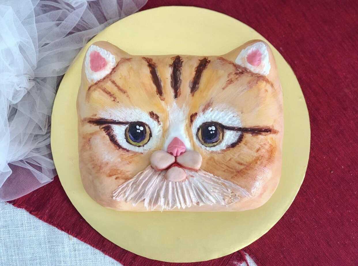 Cat Cake 5 - Purse Inspired