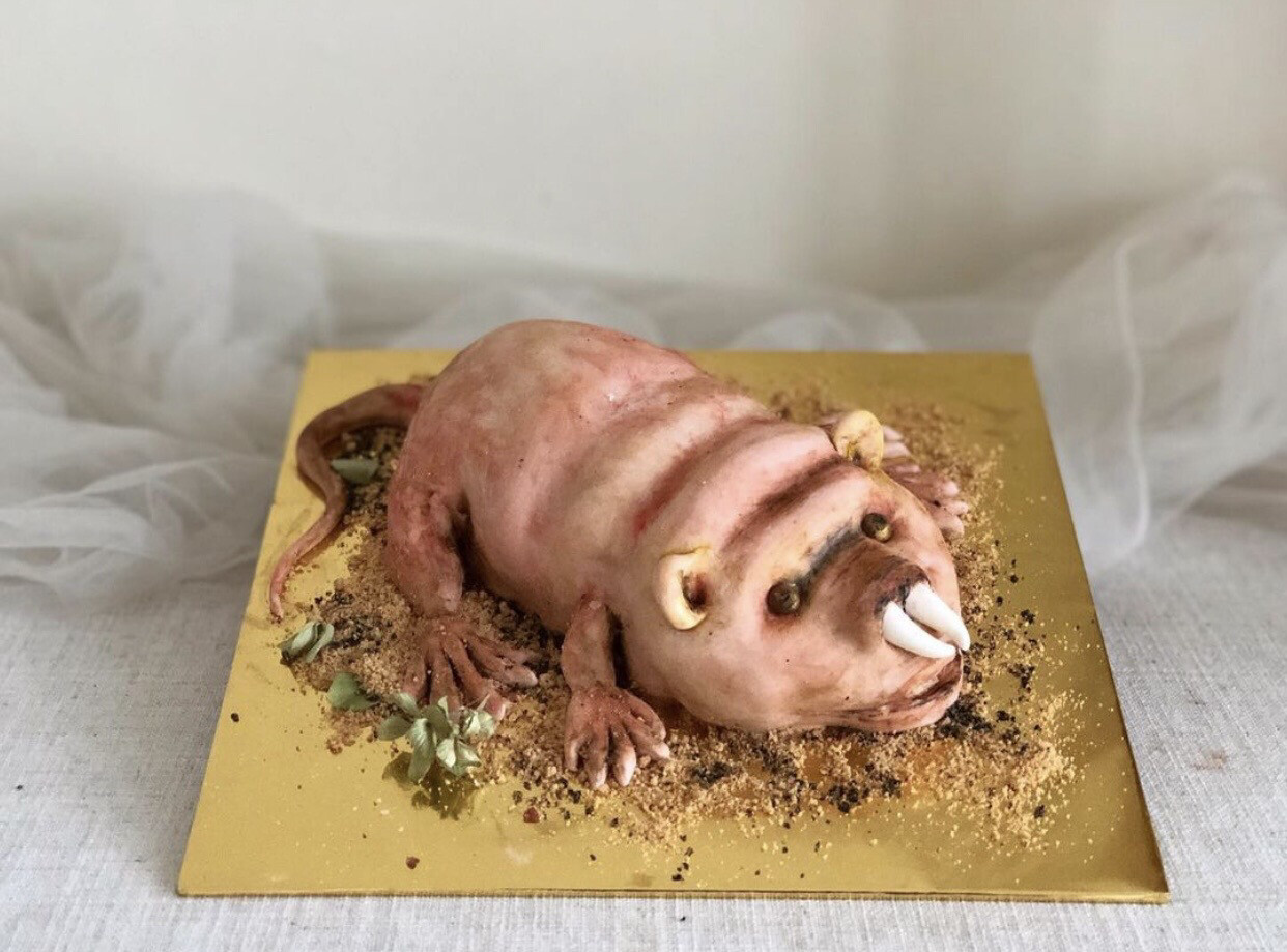 Halloween / Prank Cake - Hairless Mole Rat  