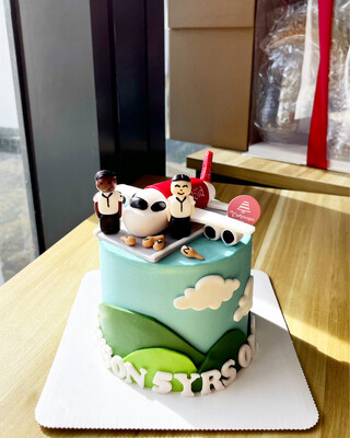 I’m A Plane Pilot Cake 3