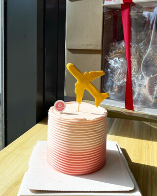 I’m A Plane Pilot Cake 9
