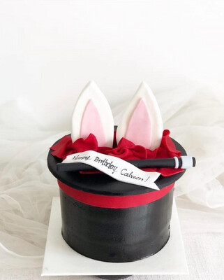 Baby Rabbit Cake 4 Magic Tuxedo
