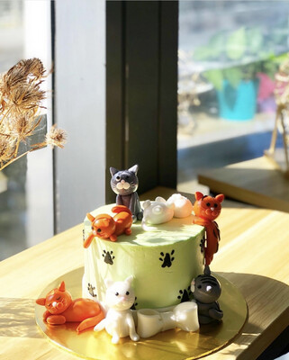 Cat Cake 11