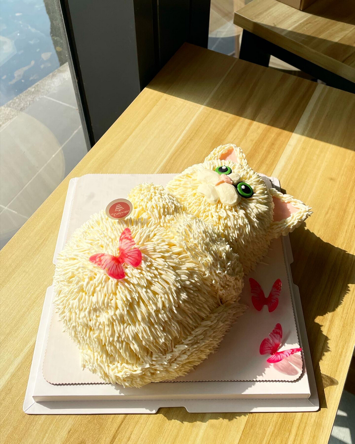 Cat Cake 12 - 3D