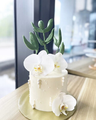Orchid Plant Cake