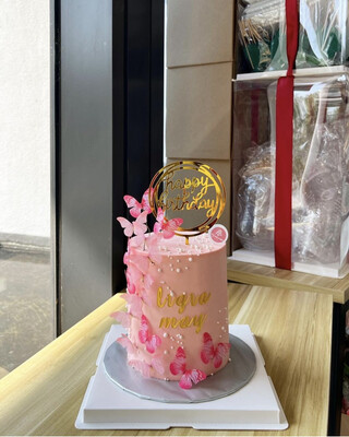 Butterfly Cake 2