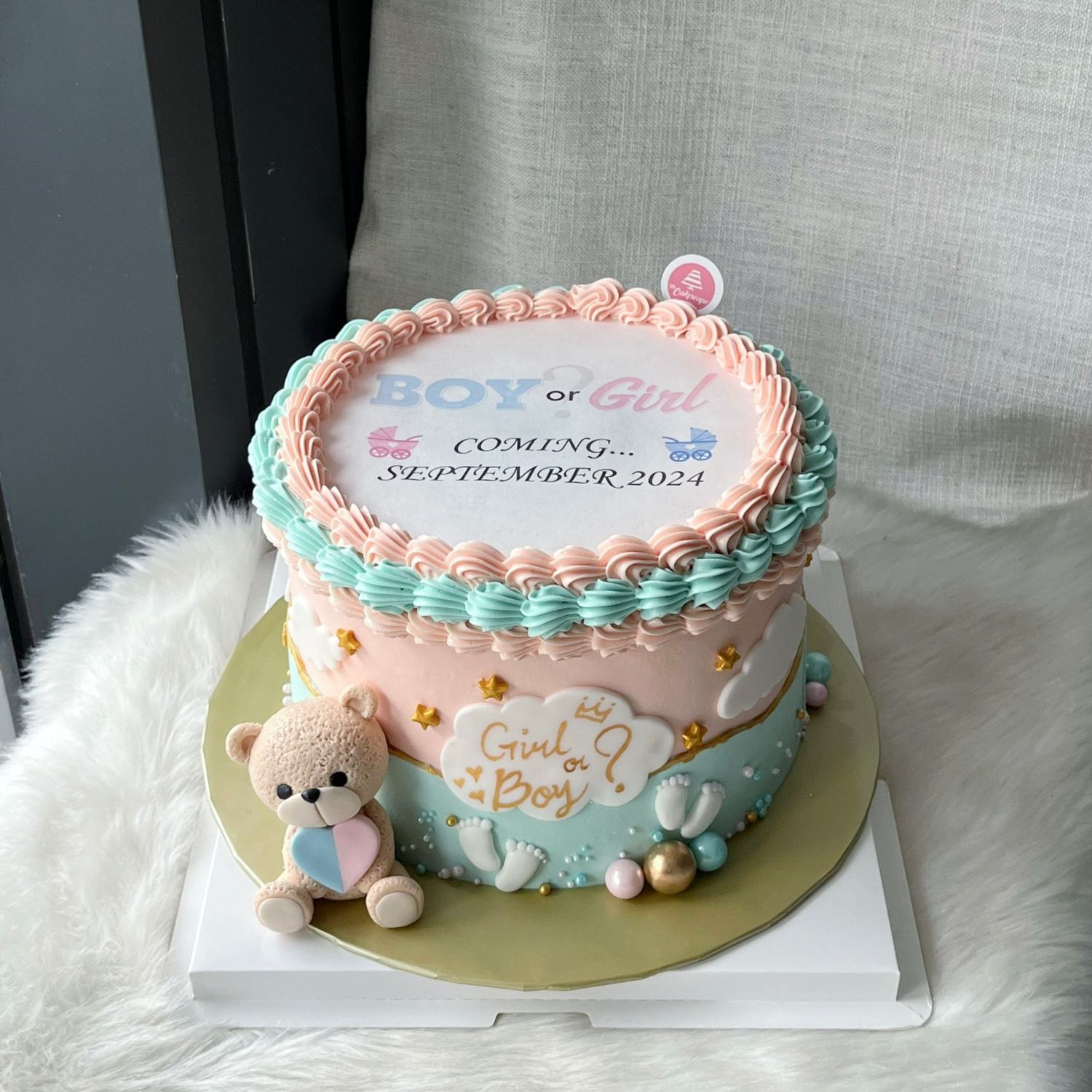 Gender Reveal - Burn Away / Flaming Cake 26
