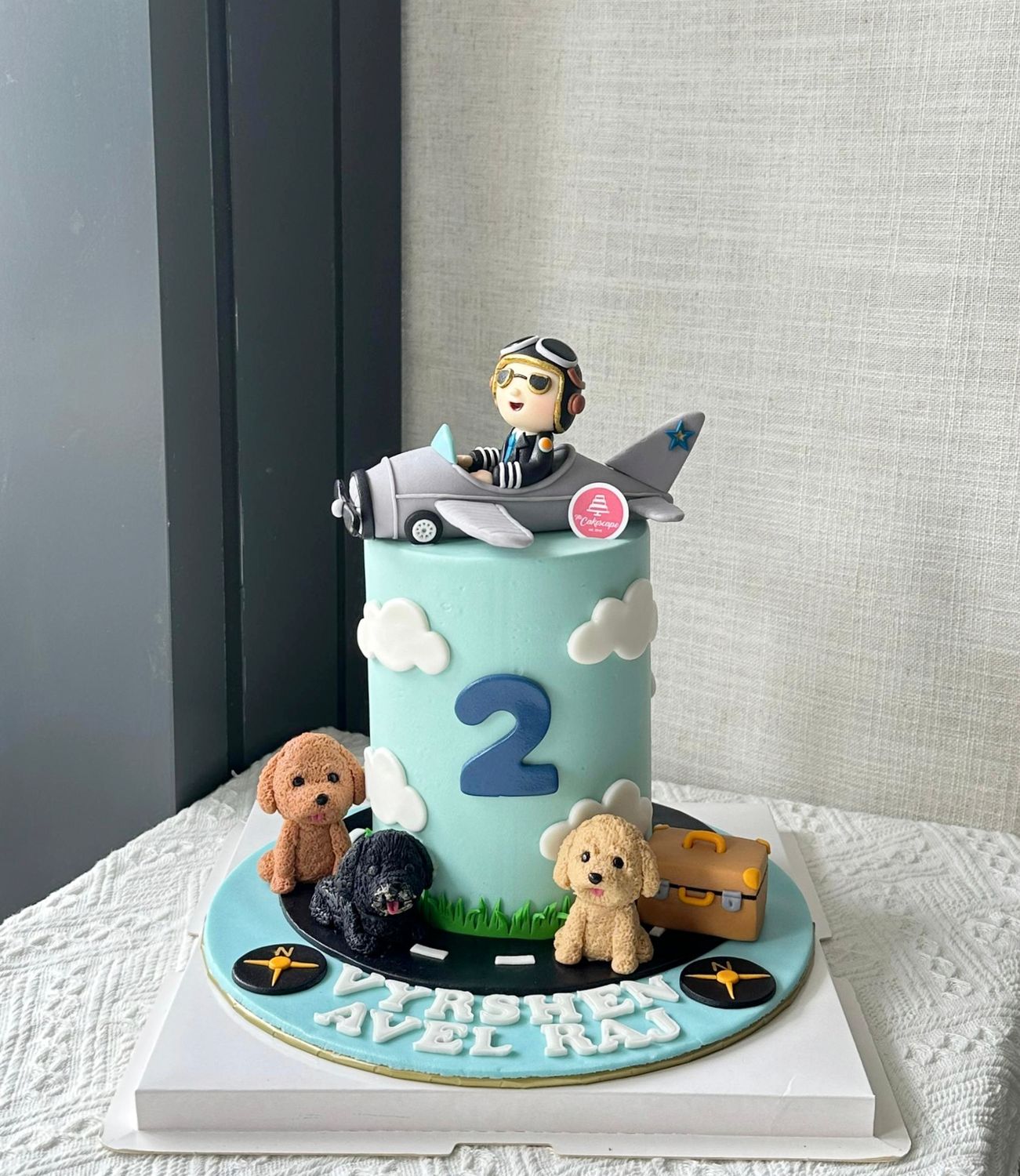 I’m A Plane Pilot Cake 12