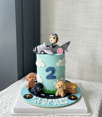 I’m A Plane Pilot Cake 12