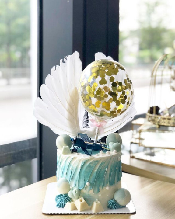 I’m A Plane Pilot Cake 5