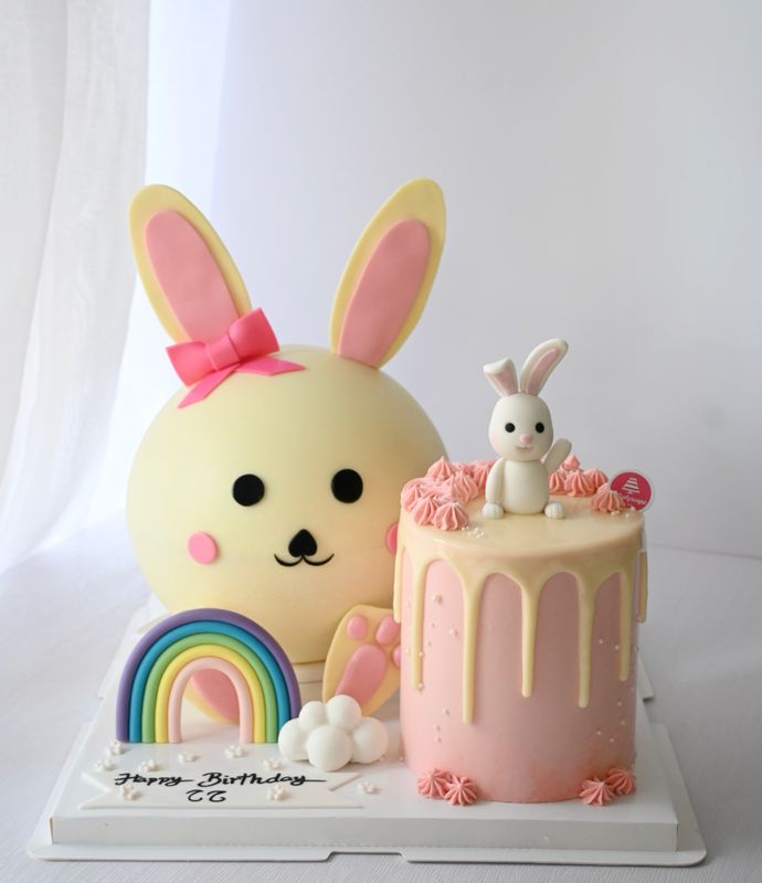Baby Animal Rabbbit Cake Pinata / Piñata