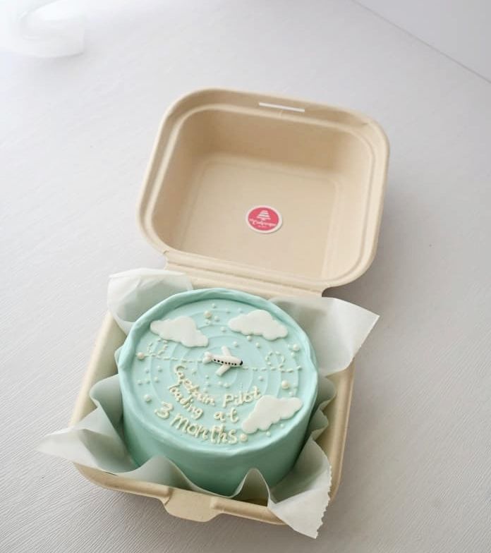 Bento Cake - Plane