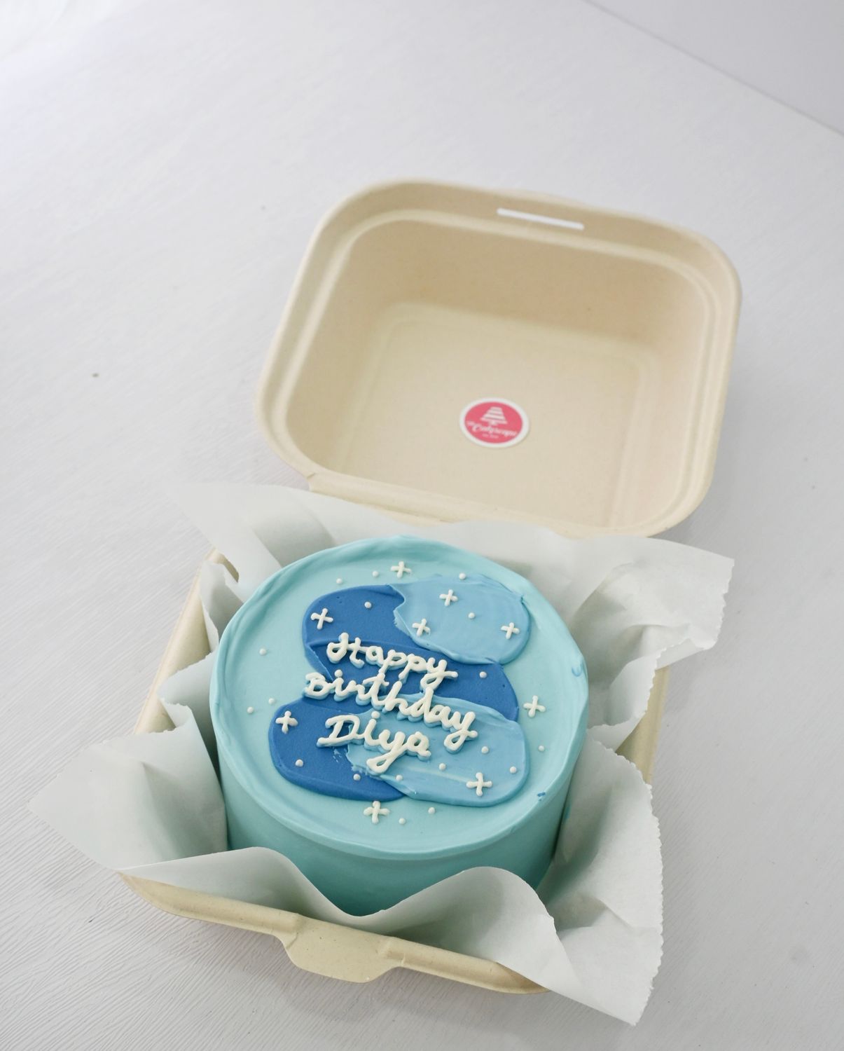Bento Cake - Blue Ins