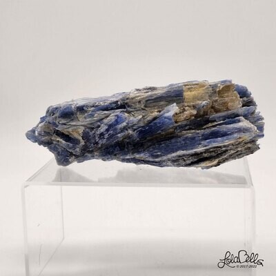 Blue Kyanite Raw