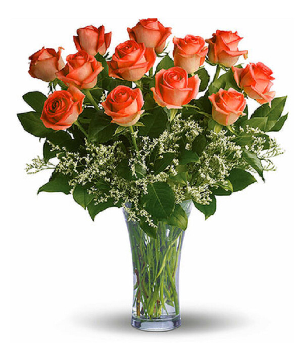 Orange Rose Bliss