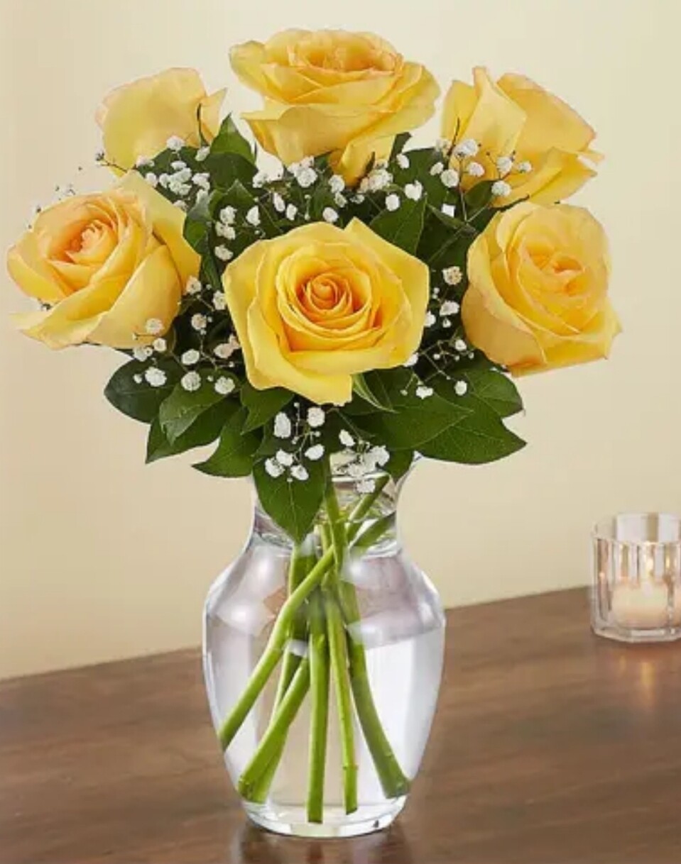 Half Dozen Yellow Roses (6)