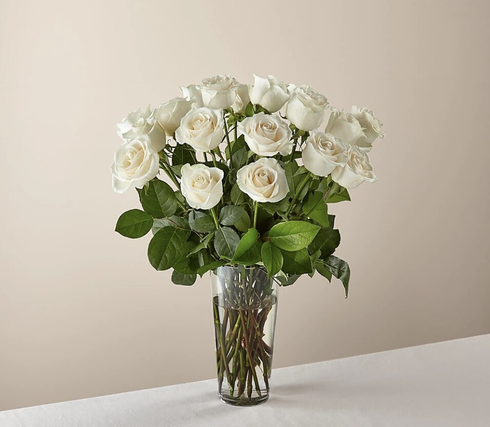 One Dozen White Roses