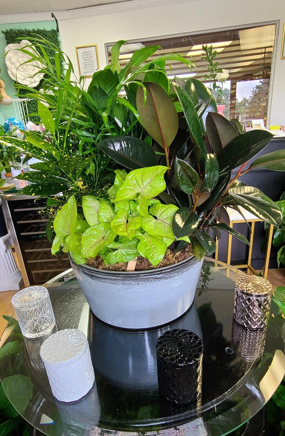 Ex-Large Dishgarden