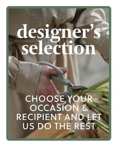 Designer&#39;s Choice