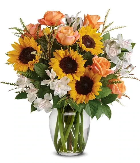 Sunflower Delight