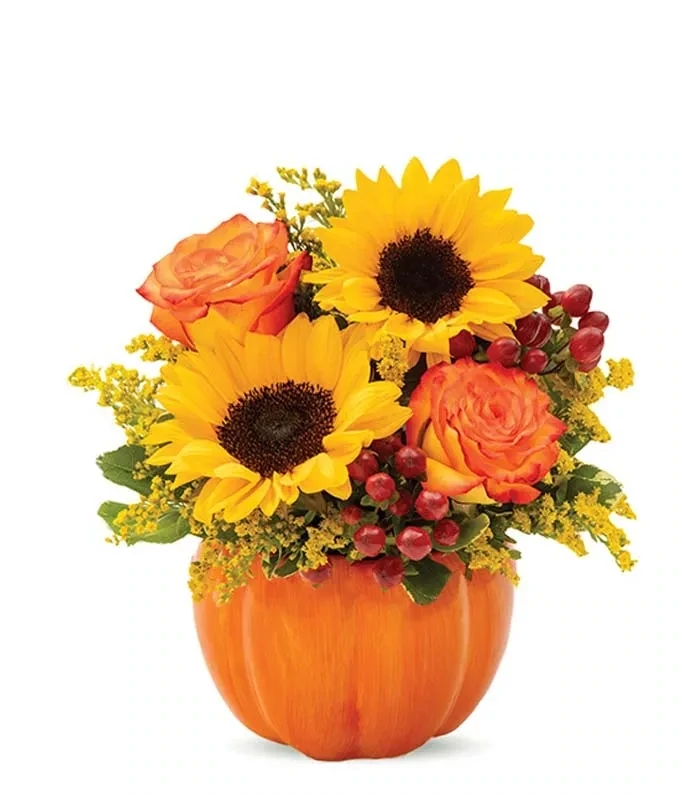Pumpkin-1