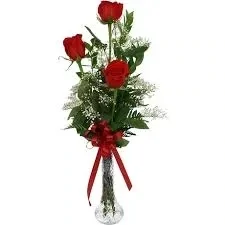 Just Because Budvase
