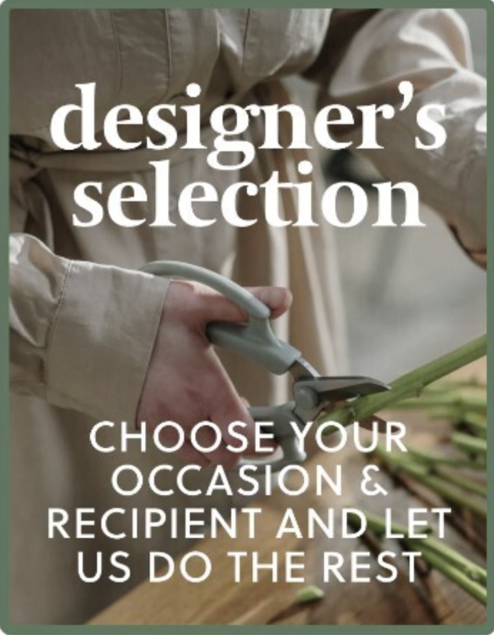 Designer&#39;s Choice