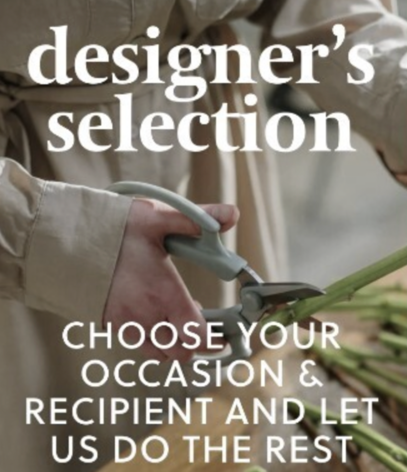 Designer&#39;s Choice