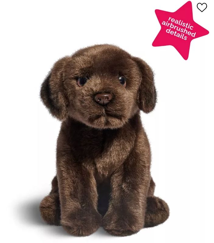 10" Lab (Chocolate)