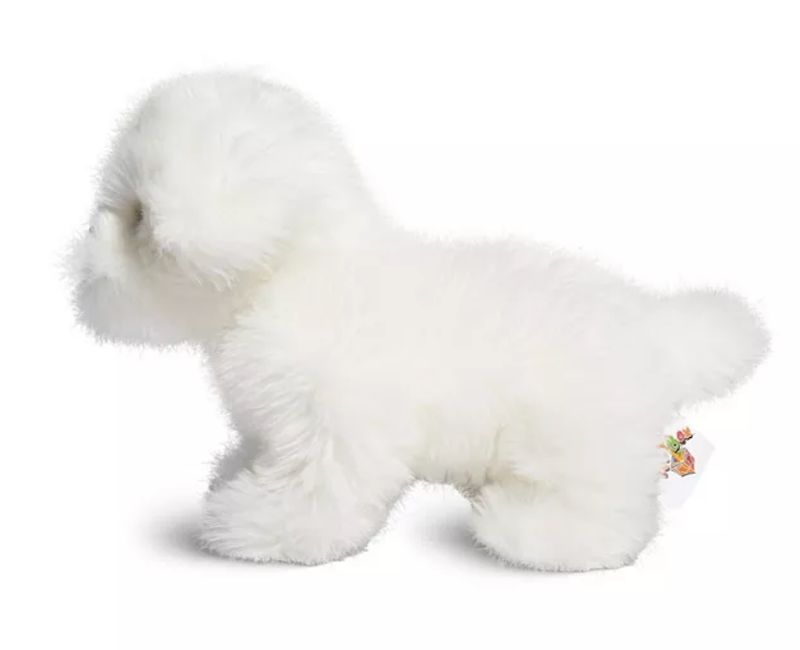 10" Maltese